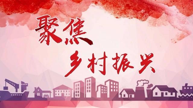因此在课程设计上必须从多个方面入手